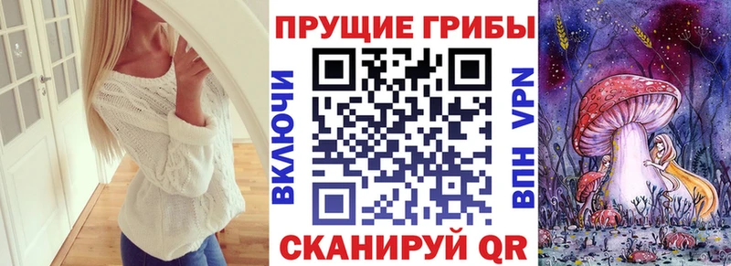 Галлюциногенные грибы Cubensis  Карпинск 