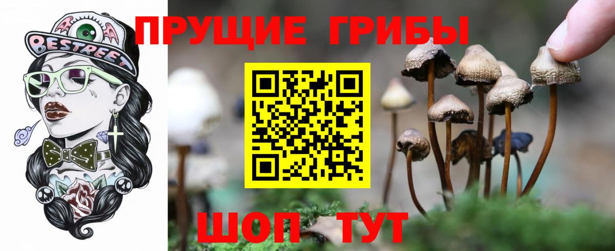 Галлюциногенные грибы GOLDEN TEACHER  Вход с VPN  Карпинск 